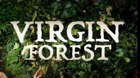 vergin pinoy|Virgin Forest .